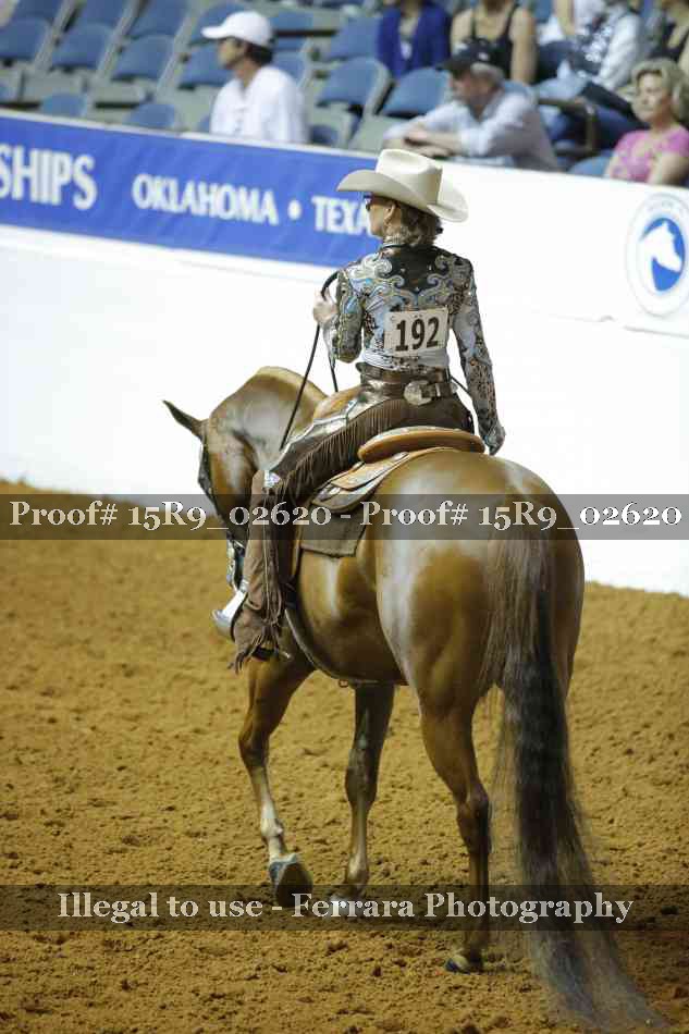 Proof Number 15R9_02620