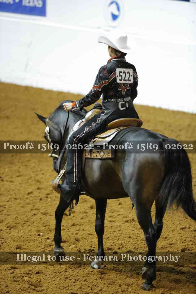 Proof Number 15R9_02622