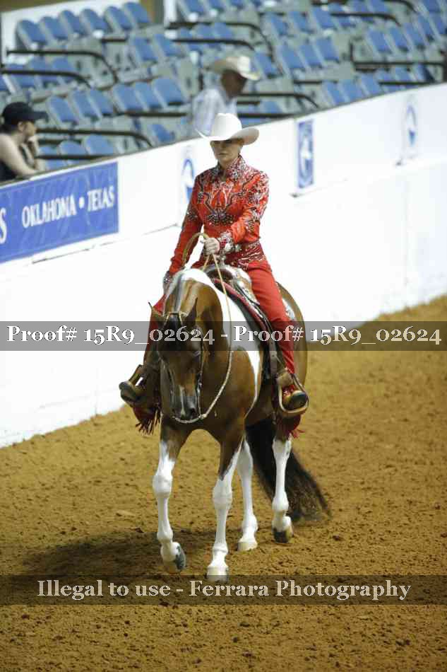 Proof Number 15R9_02624