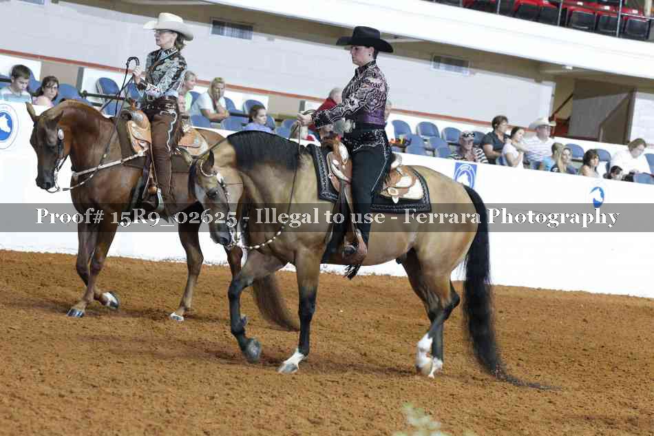 Proof Number 15R9_02625
