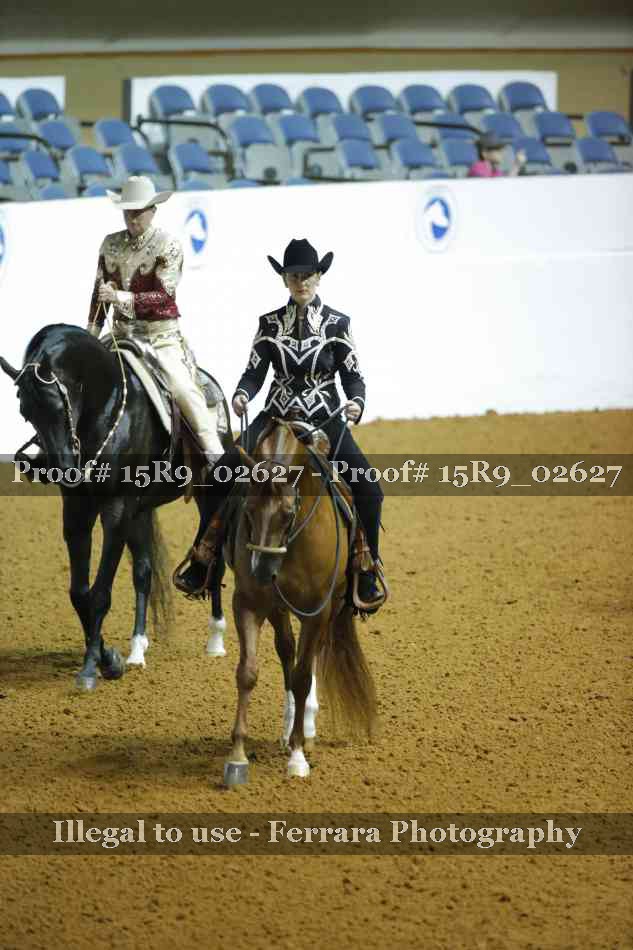 Proof Number 15R9_02627