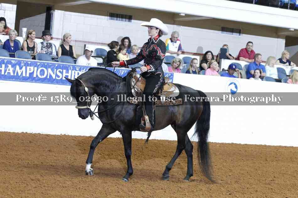 Proof Number 15R9_02630