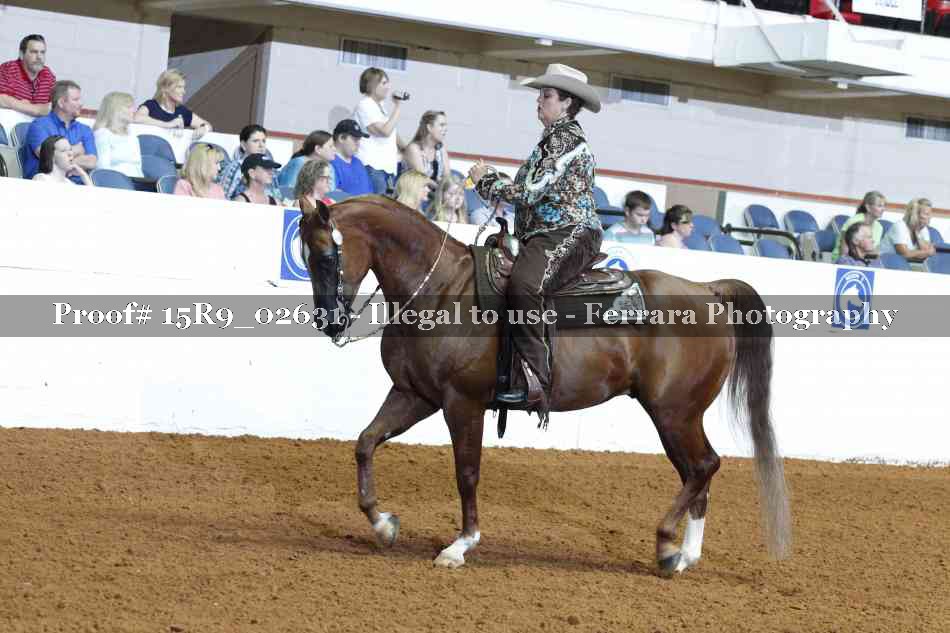 Proof Number 15R9_02631