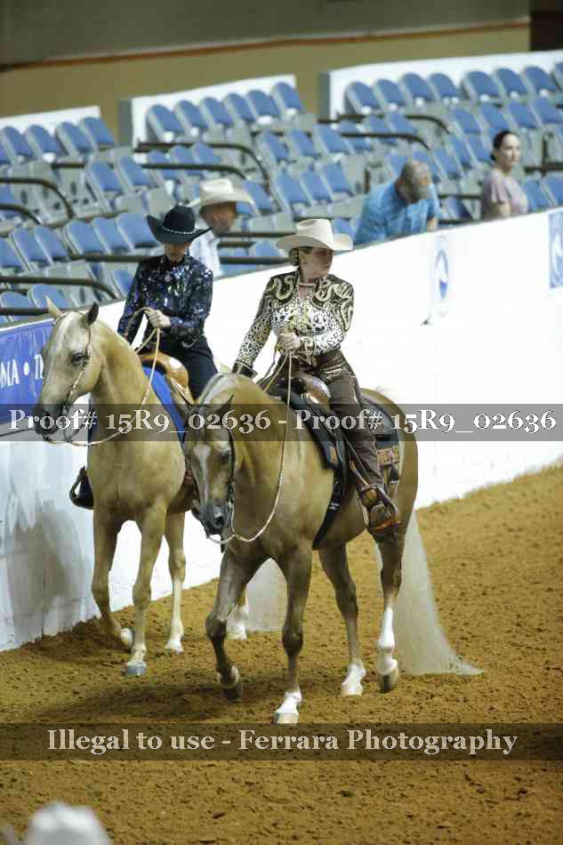 Proof Number 15R9_02636