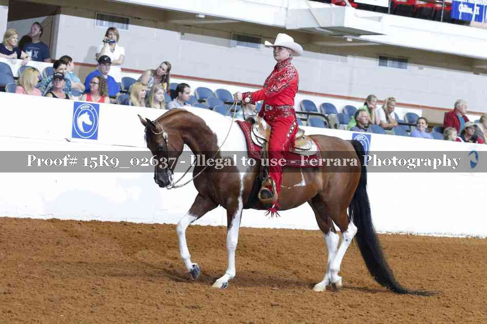 Proof Number 15R9_02637