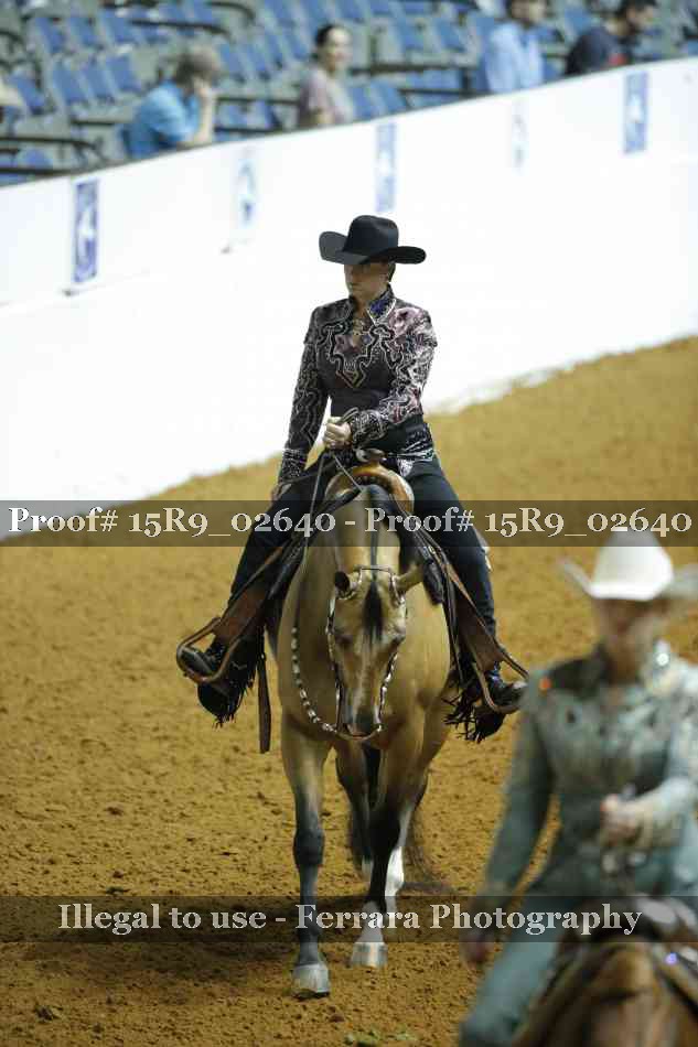 Proof Number 15R9_02640