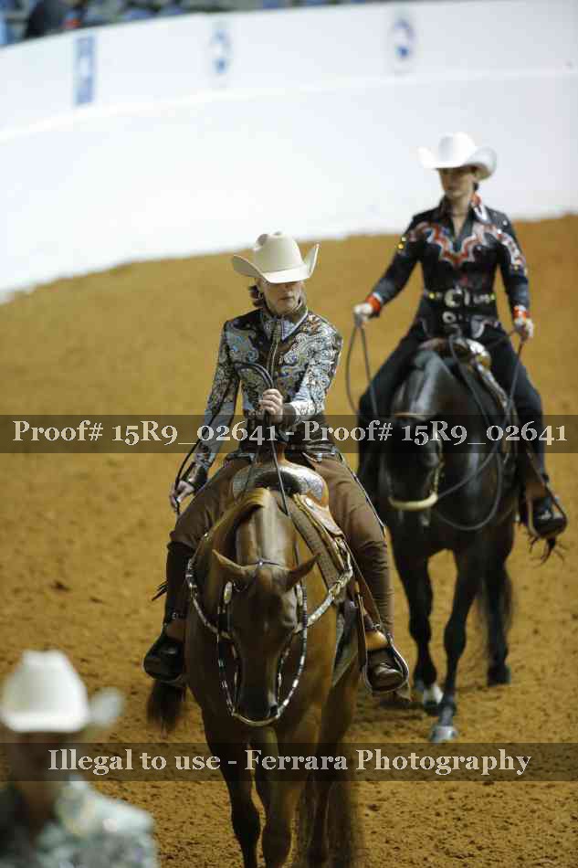 Proof Number 15R9_02641