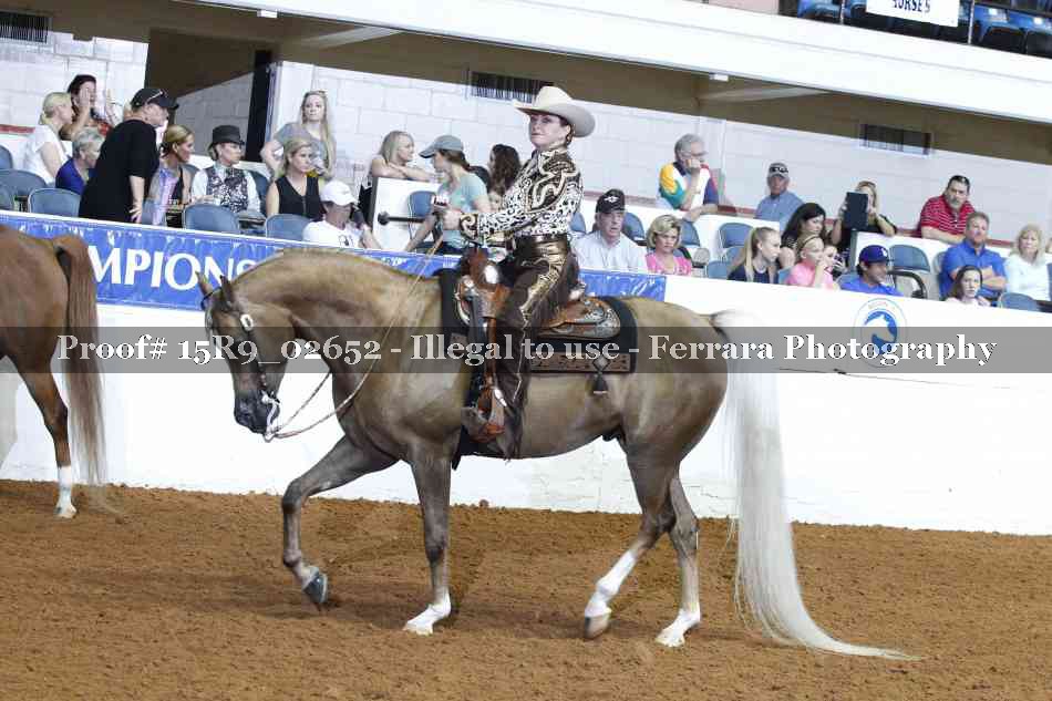 Proof Number 15R9_02652