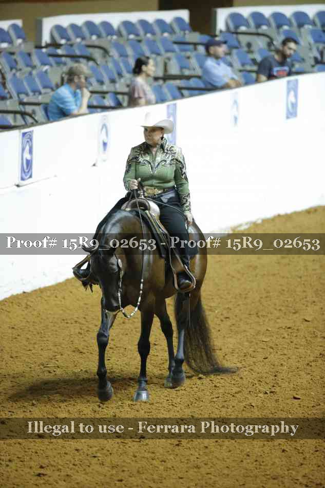 Proof Number 15R9_02653