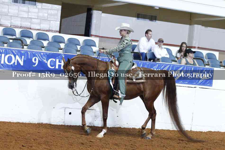 Proof Number 15R9_02656