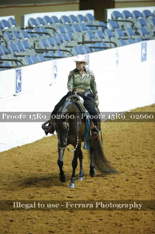 Proof Number 15R9_02660