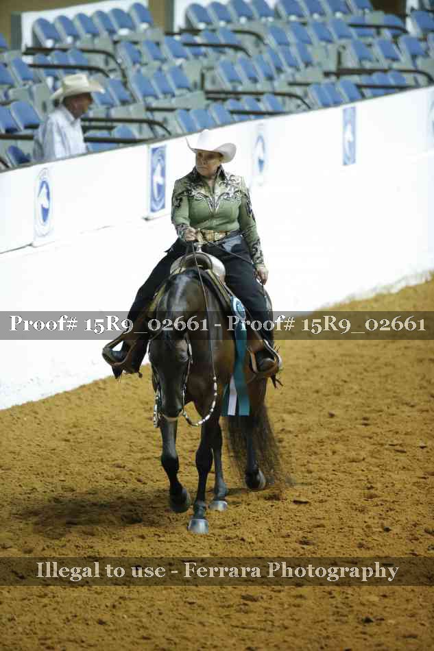 Proof Number 15R9_02661