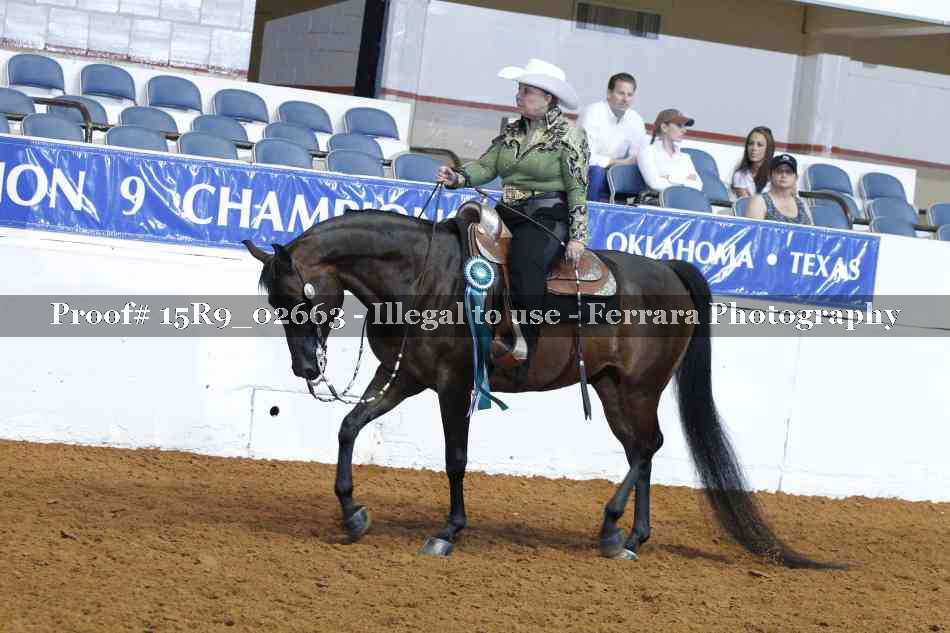 Proof Number 15R9_02663