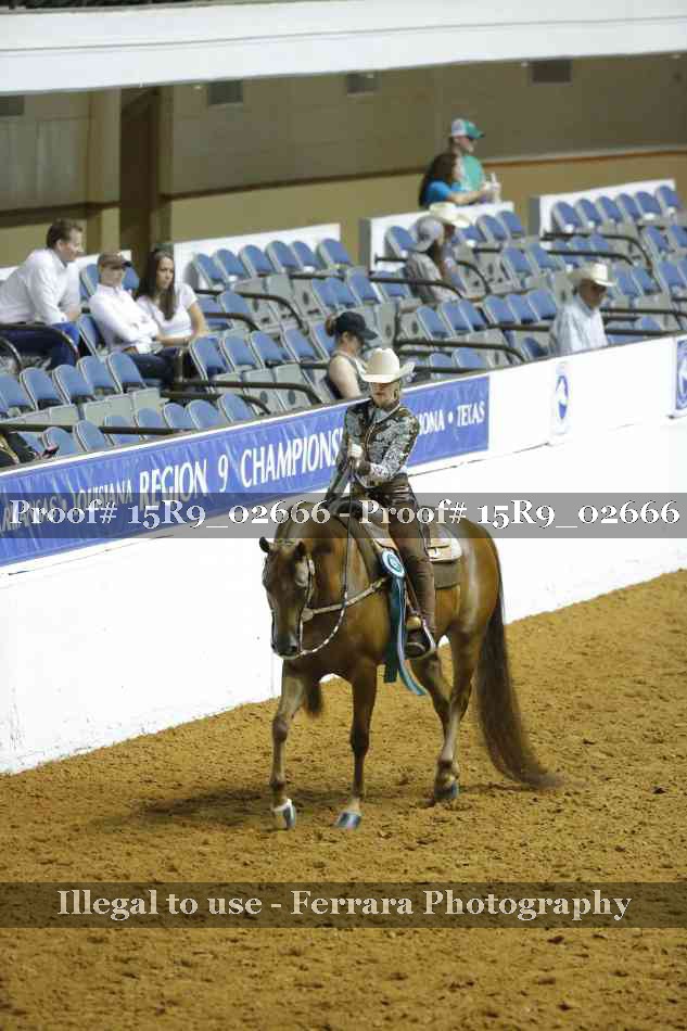 Proof Number 15R9_02666