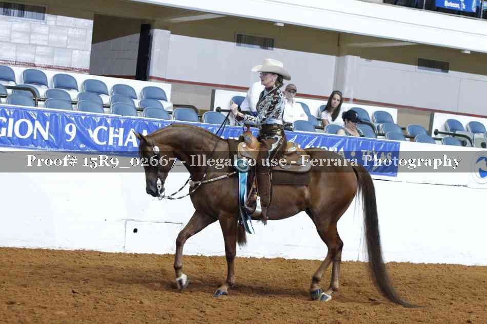 Proof Number 15R9_02667