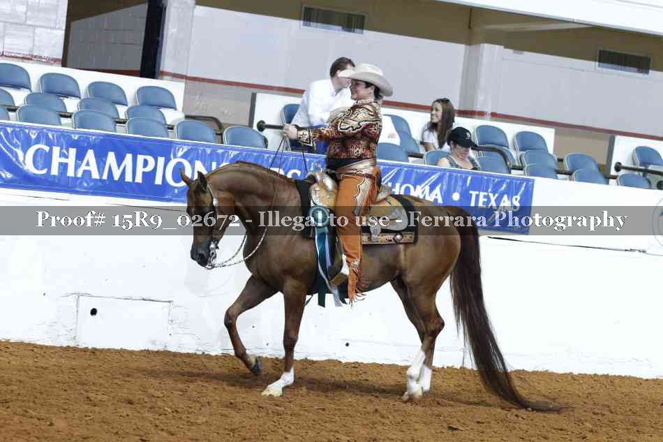 Proof Number 15R9_02672