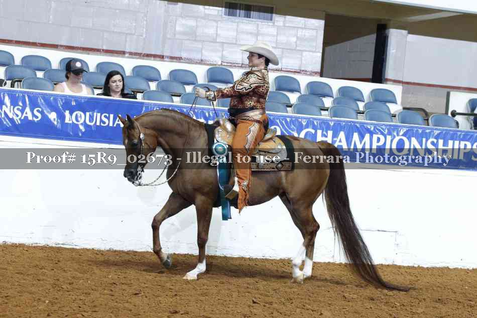 Proof Number 15R9_02673