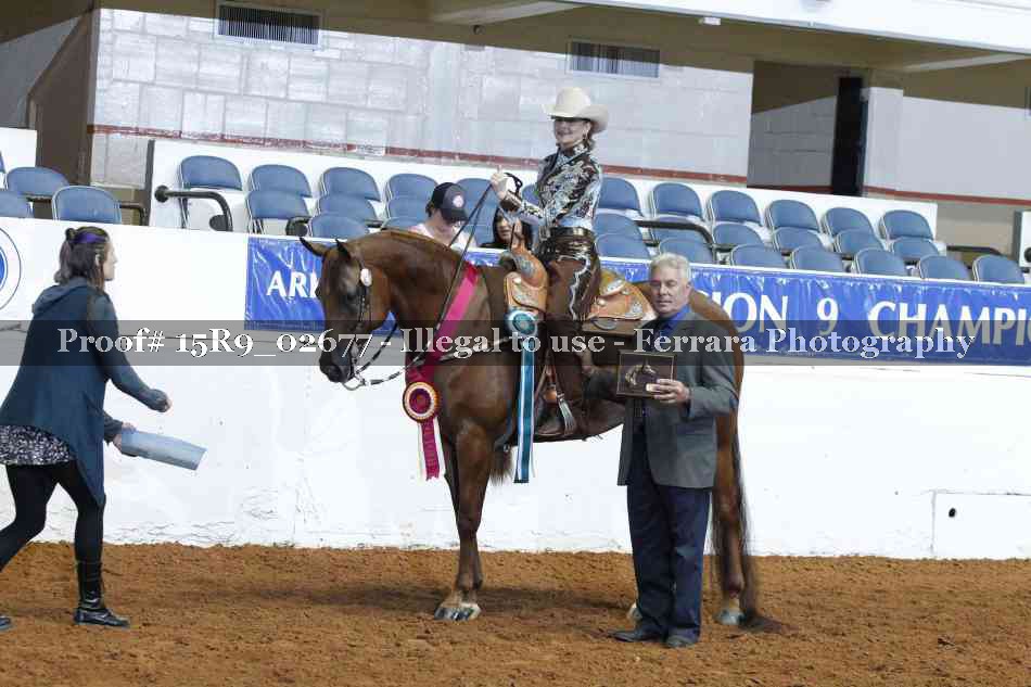 Proof Number 15R9_02677