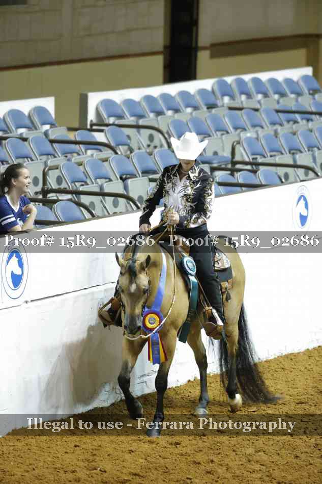 Proof Number 15R9_02686