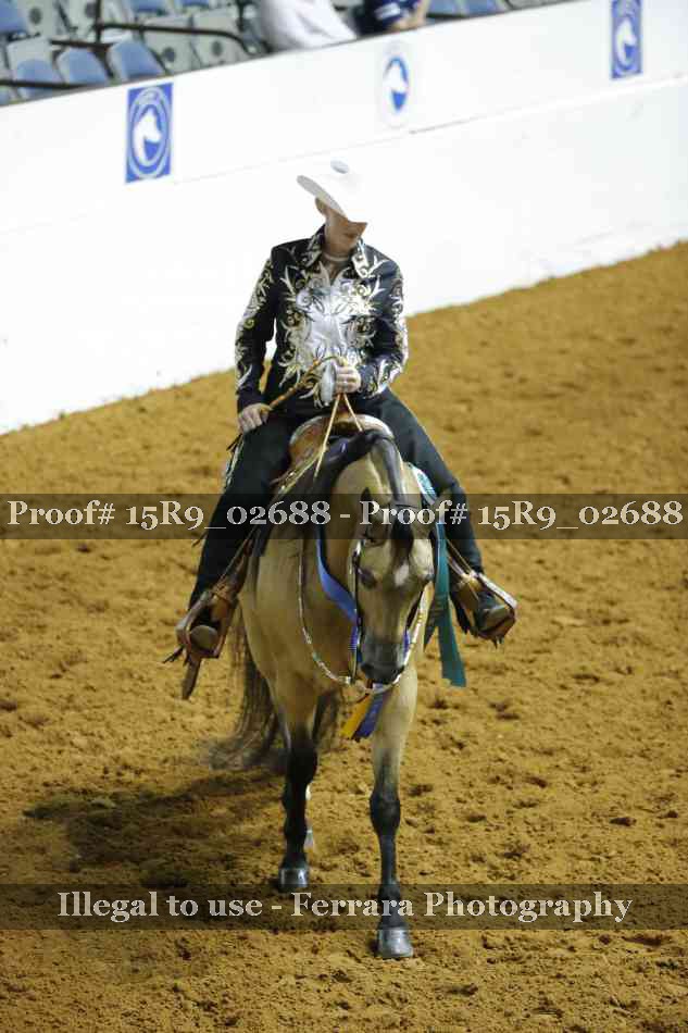 Proof Number 15R9_02688
