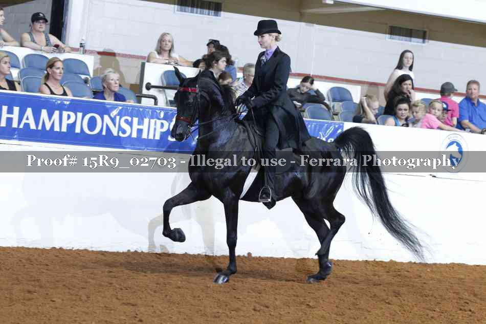 Proof Number 15R9_02703