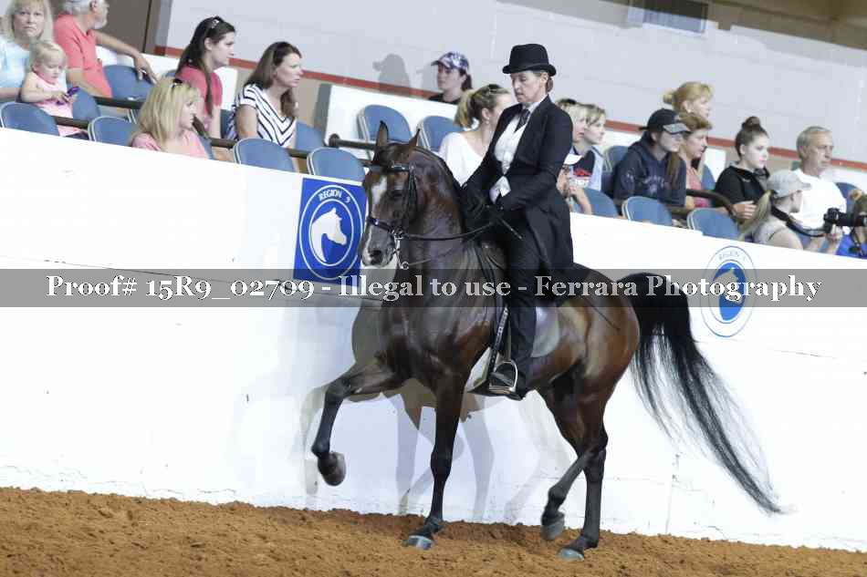 Proof Number 15R9_02709