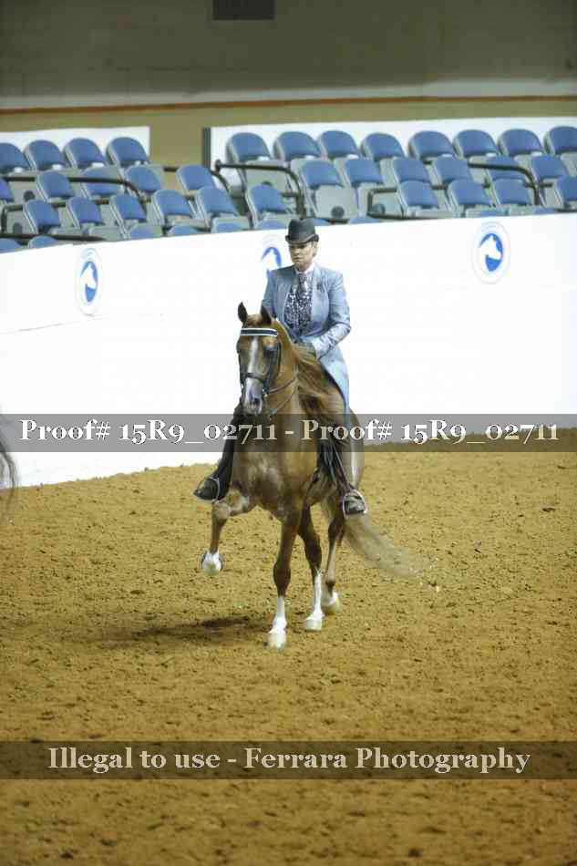 Proof Number 15R9_02711