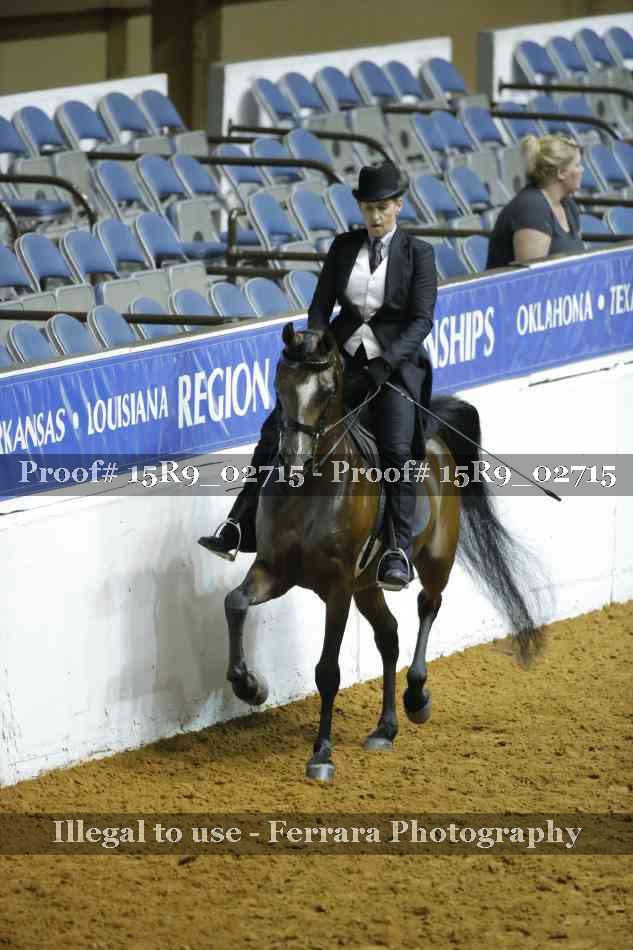 Proof Number 15R9_02715