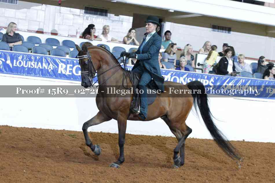 Proof Number 15R9_02721