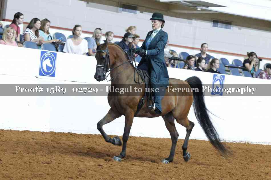 Proof Number 15R9_02729