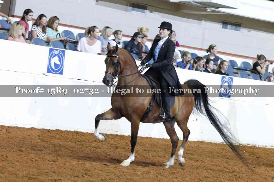 Proof Number 15R9_02732
