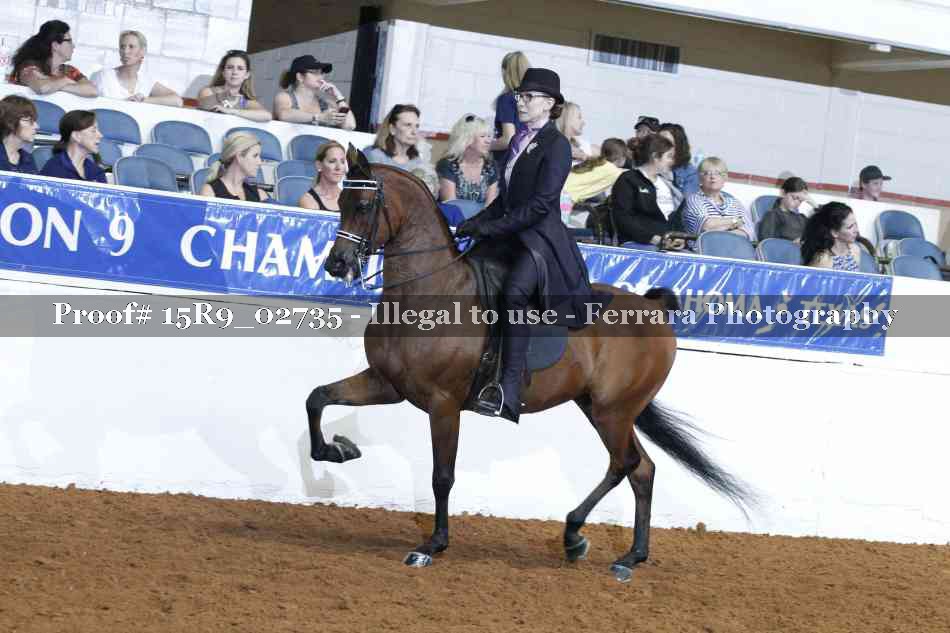 Proof Number 15R9_02735