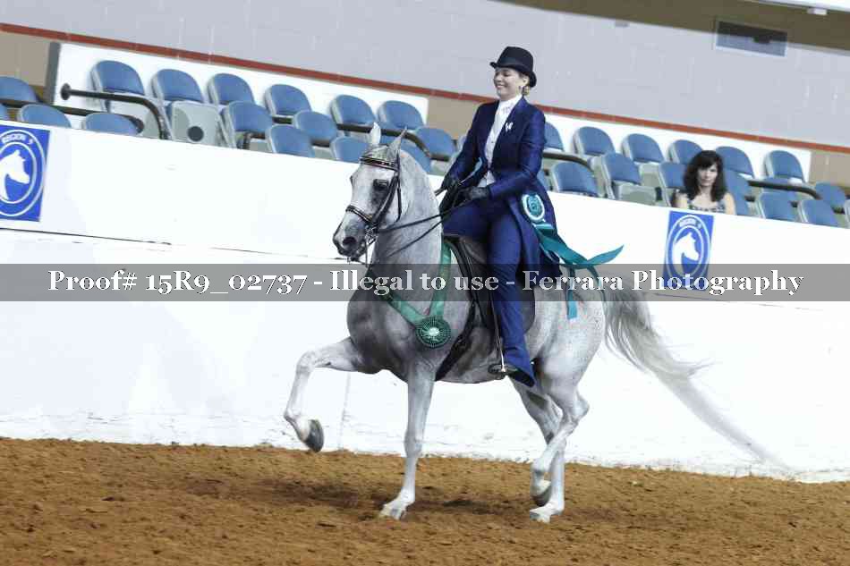 Proof Number 15R9_02737