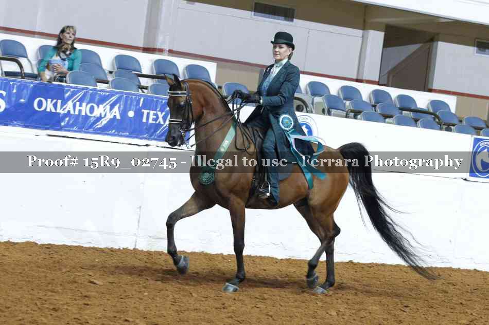 Proof Number 15R9_02745