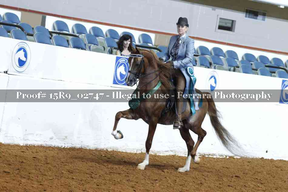 Proof Number 15R9_02747
