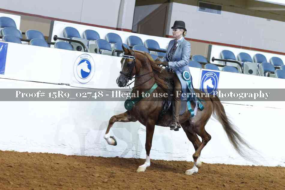 Proof Number 15R9_02748