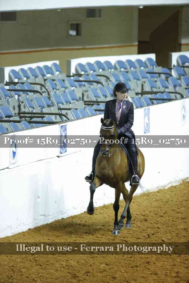 Proof Number 15R9_02750