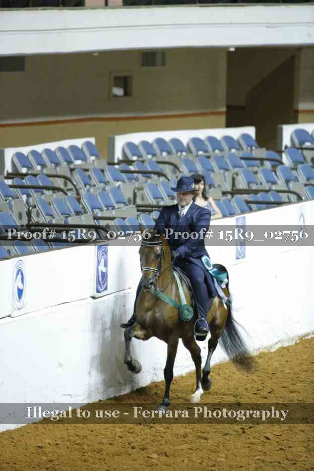 Proof Number 15R9_02756