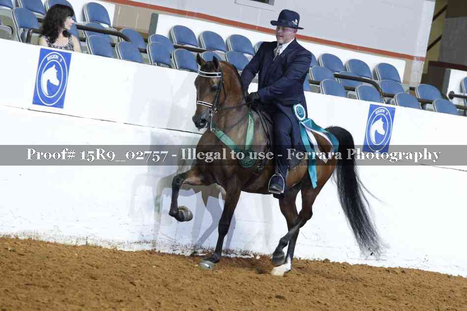 Proof Number 15R9_02757