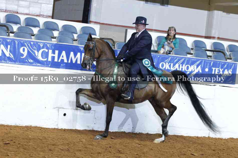 Proof Number 15R9_02758