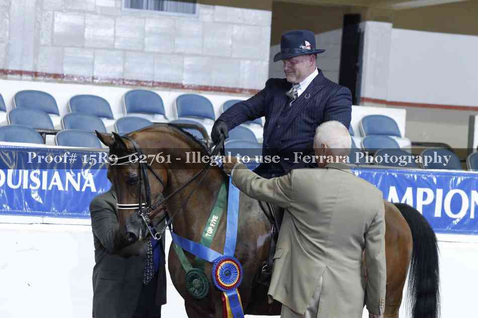 Proof Number 15R9_02761