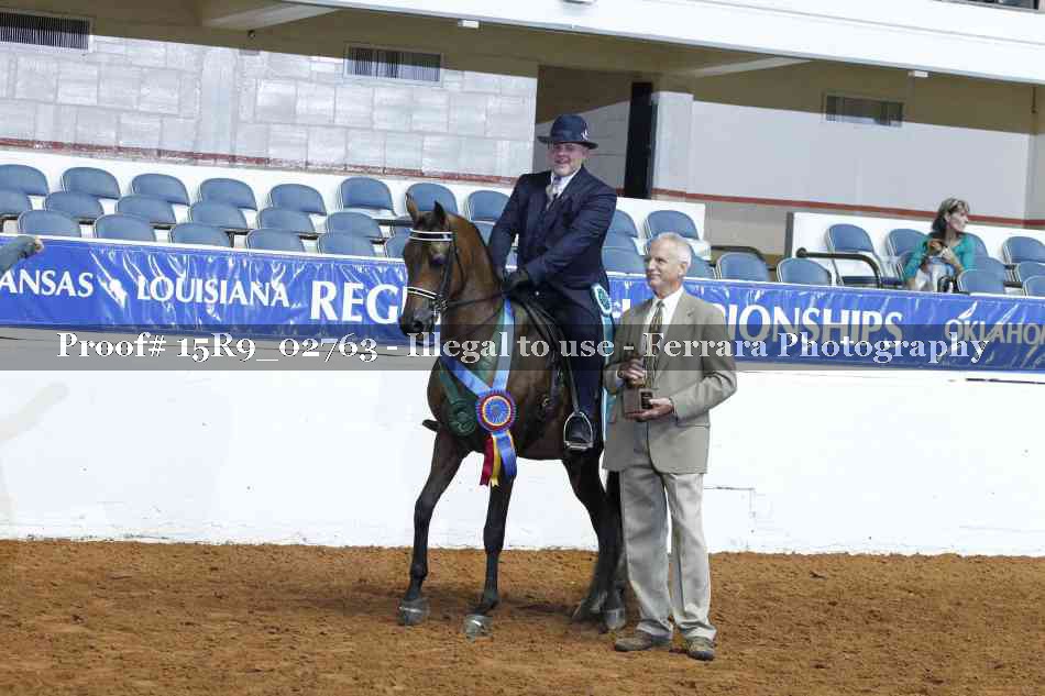 Proof Number 15R9_02763