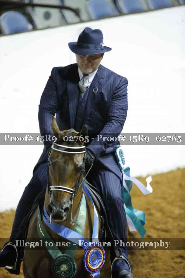 Proof Number 15R9_02765