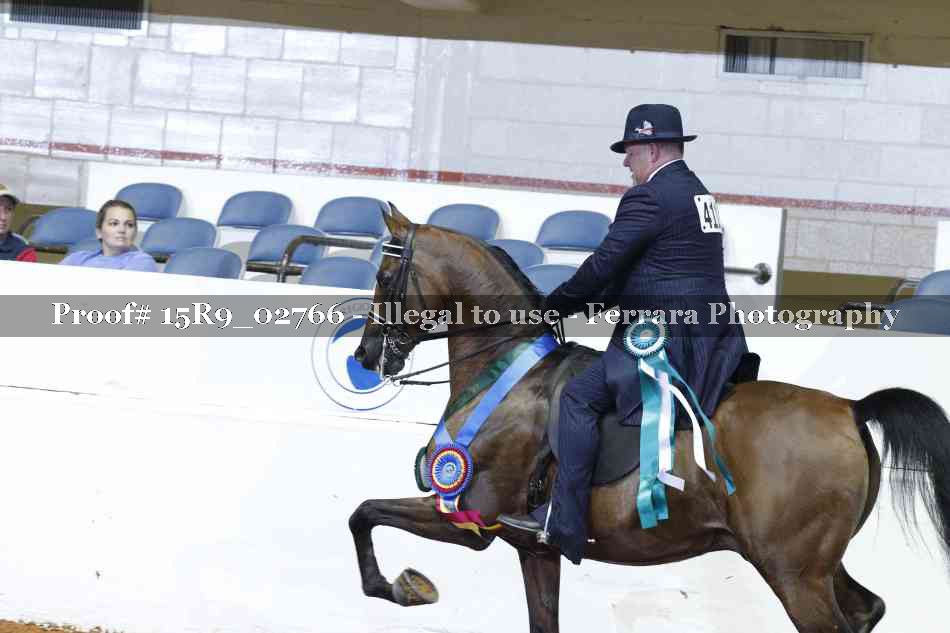 Proof Number 15R9_02766