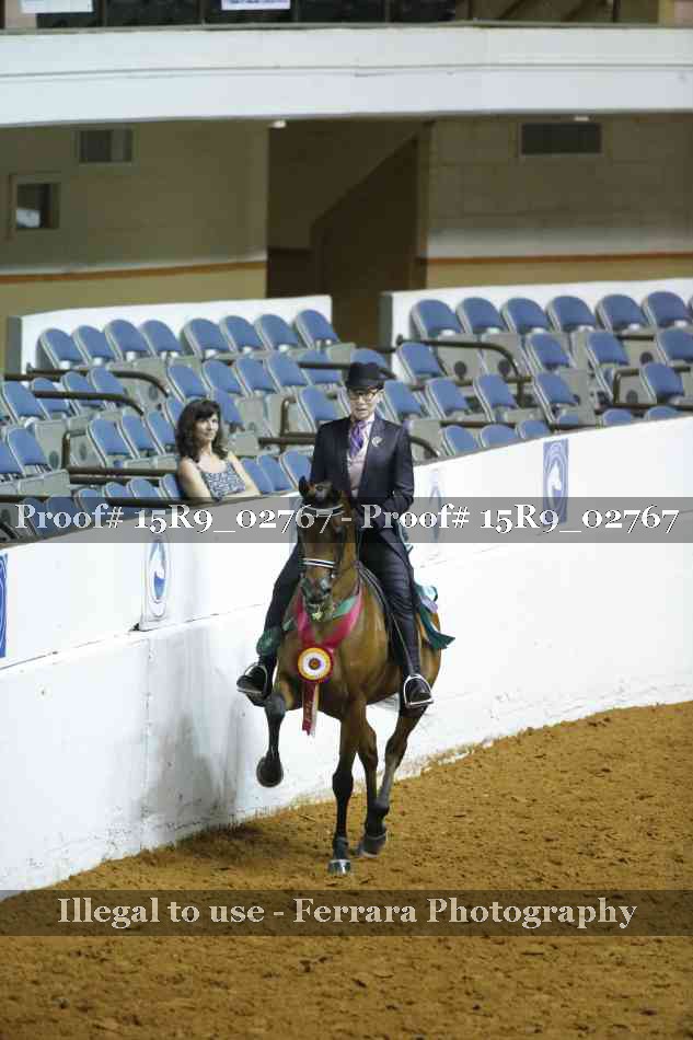 Proof Number 15R9_02767