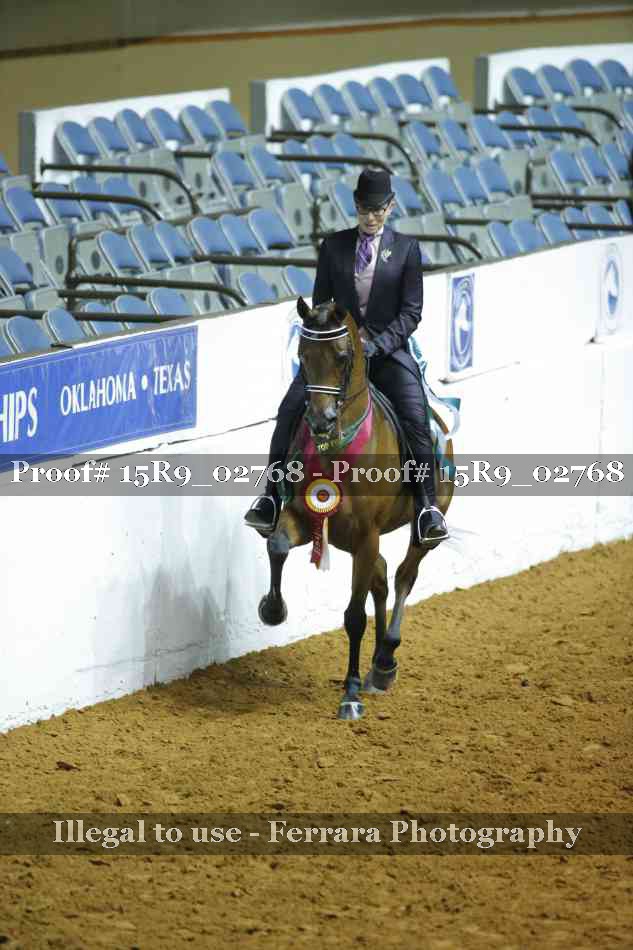 Proof Number 15R9_02768