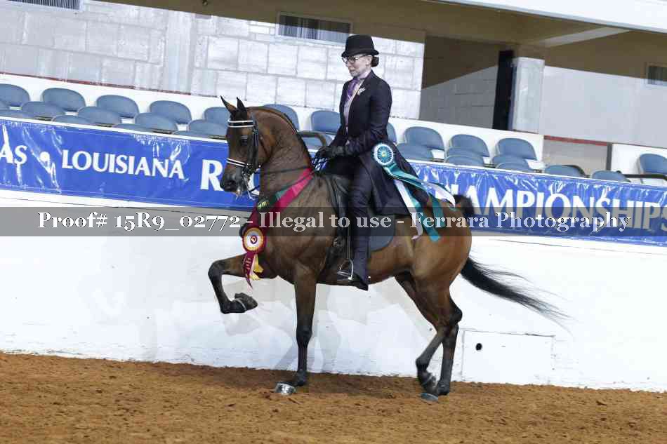 Proof Number 15R9_02772