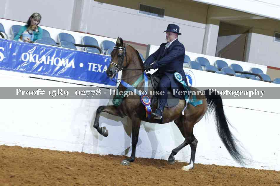 Proof Number 15R9_02778