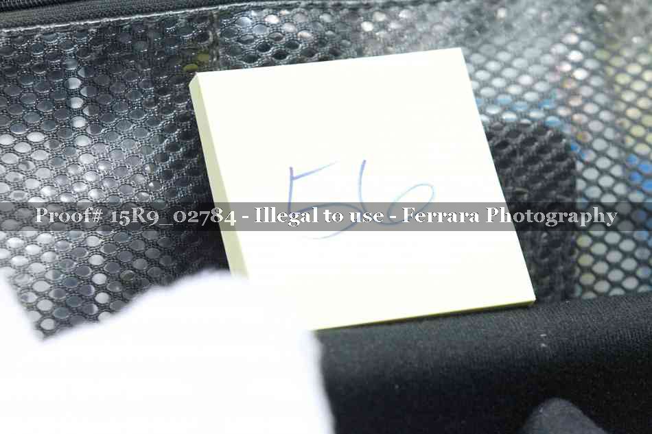 Proof Number 15R9_02784