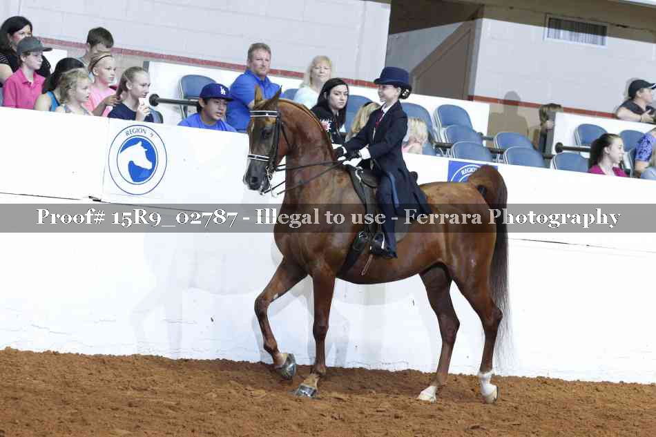 Proof Number 15R9_02787